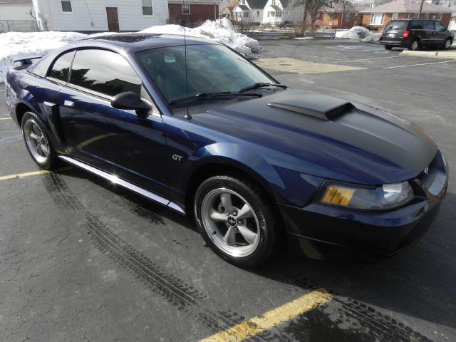 Picture of a 2002 Ford Mustang