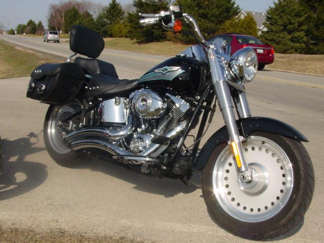 Picture of a 2008 Harley-Davidson FLSTF