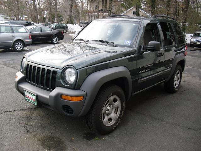 Picture of a 2003 Jeep Liberty