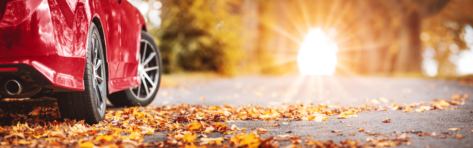 FALL SEASON SPECIAL!!