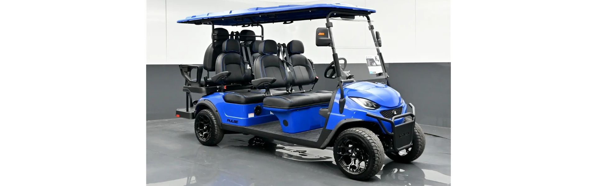 2025 Active EV Pulse