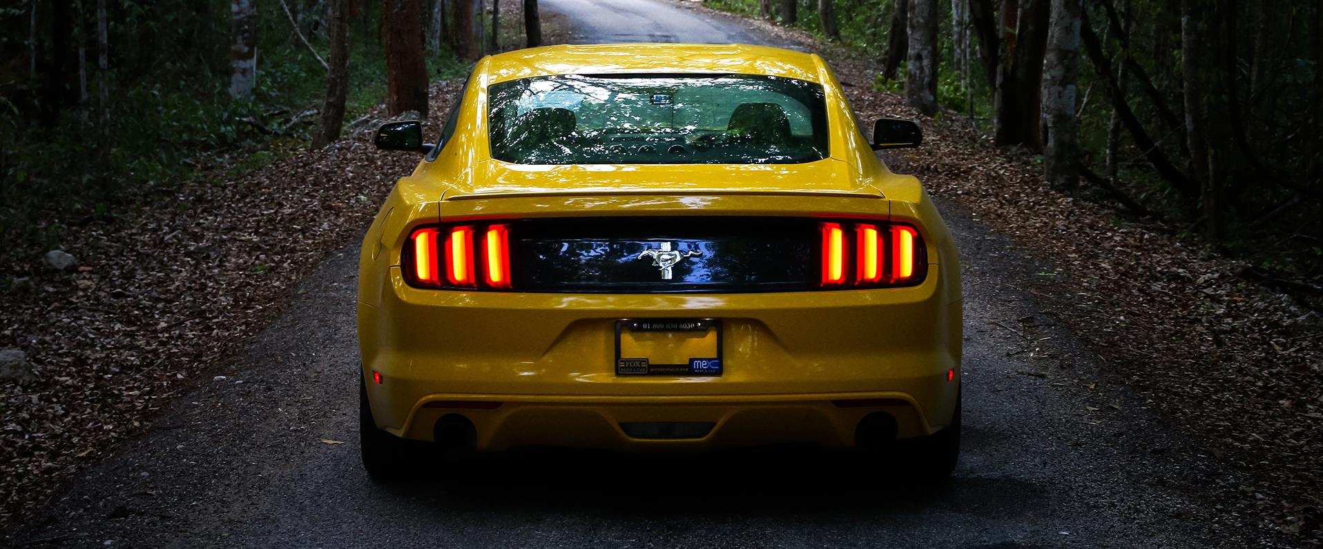 Over 13 years of automotive experience